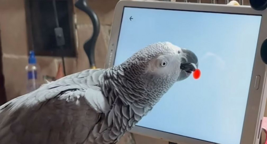 Παραμείνετε συντονισμένοι